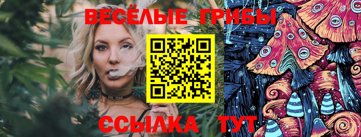 Псилоцибиновые грибы мухоморы  Вход с VPN  цена наркотик  Крымск 