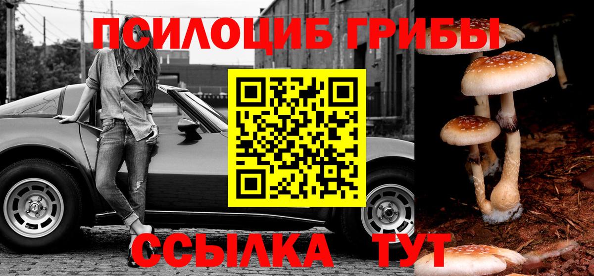 Псилоцибиновые грибы Psilocybe Крымск